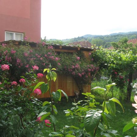 Casa Fabrizio Hotel Călimăneşti Buitenkant foto
