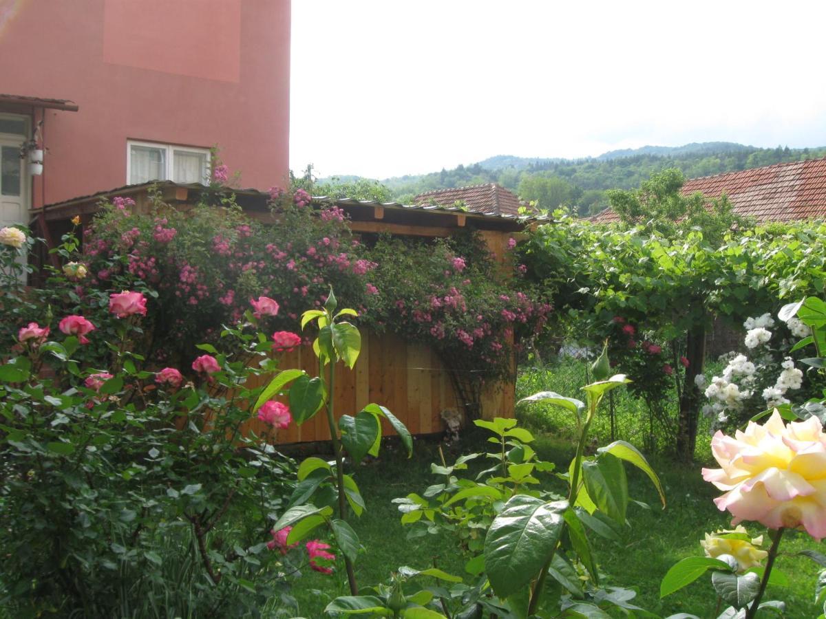 Casa Fabrizio Hotel Călimăneşti Buitenkant foto
