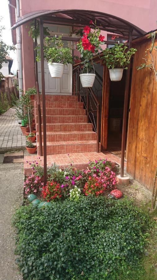 Casa Fabrizio Hotel Călimăneşti Buitenkant foto