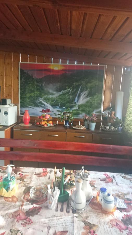 Casa Fabrizio Hotel Călimăneşti Buitenkant foto