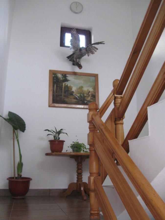 Casa Fabrizio Hotel Călimăneşti Buitenkant foto